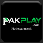PakPlay Game